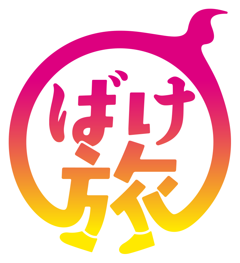 opening logo